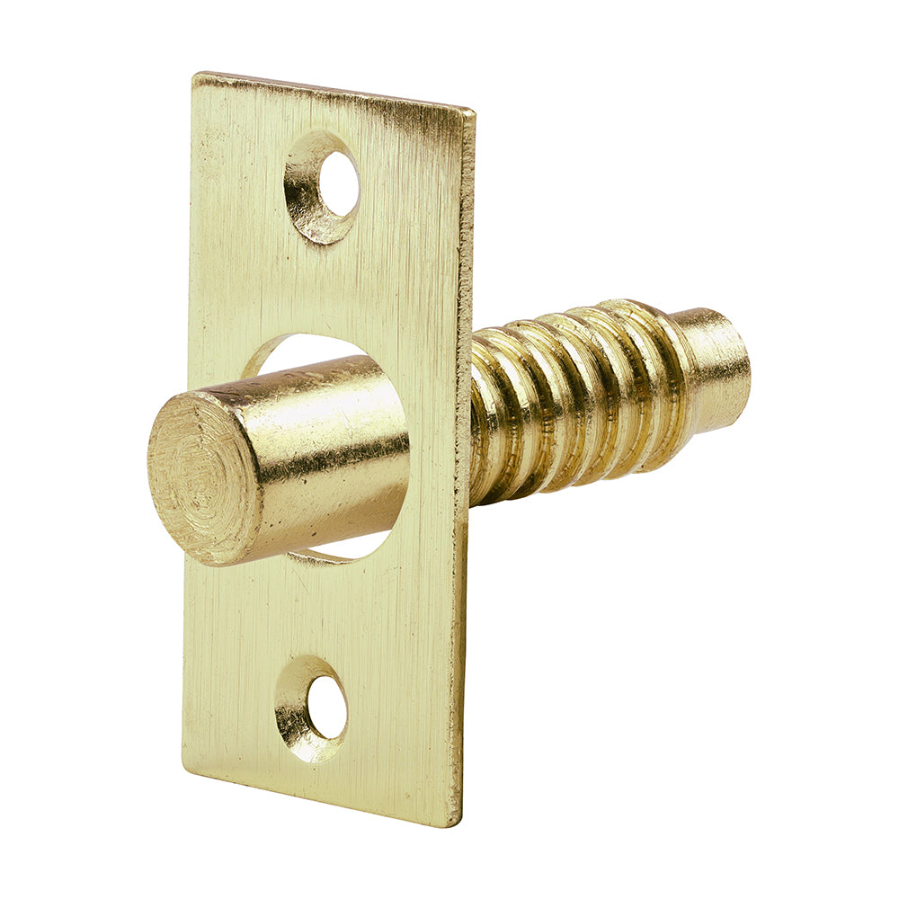 Hinge Bolt Electro Brass - 48mm