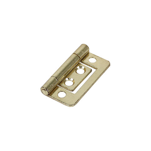 Flush Hinge Electro Brass